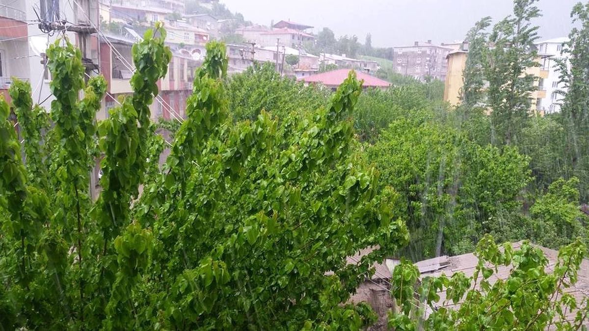 Kulp\'u Dolu Vurdu
