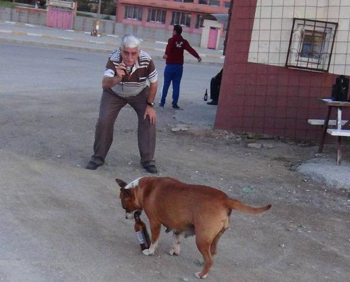 Piti\' Sahibiyle Birlikte Şişe Topluyor