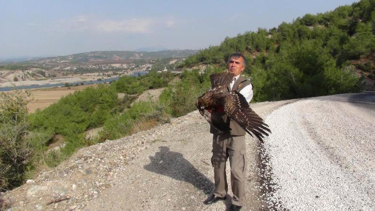 Tedavileri Tamamlanan Yabani Kuşlar Doğaya Bırakıldı