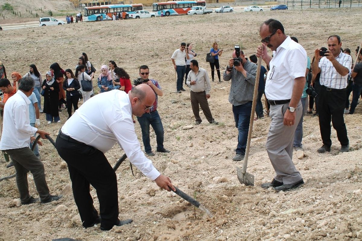 Toros Üniversitesi Öğrencilerinden Hatıra Ormanı