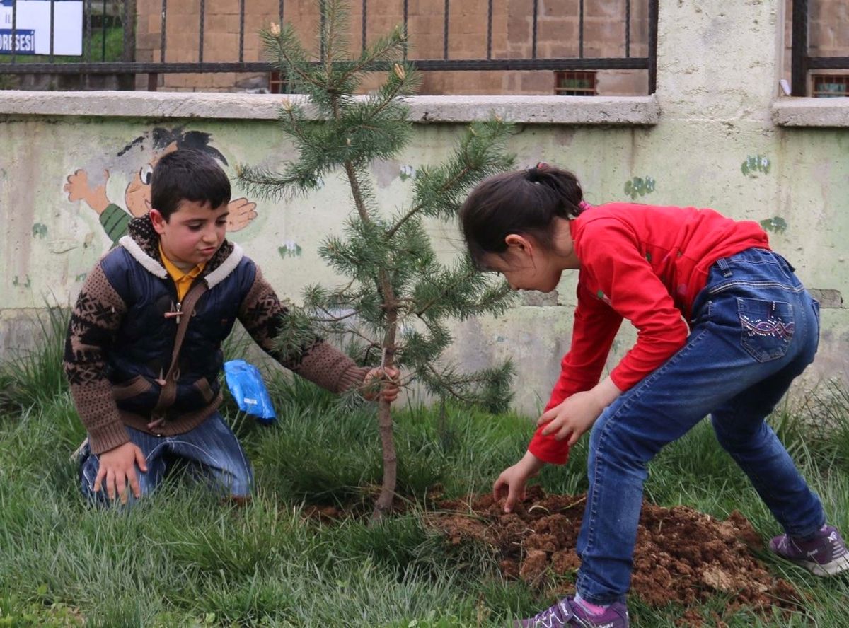 Bitlis\'te Fidan Dikimi