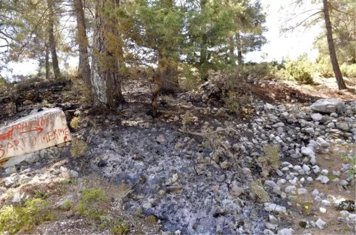 Çevreci Büyüknohutçu Çifti Cinayetinin Şüphelisi Gözaltında (3)