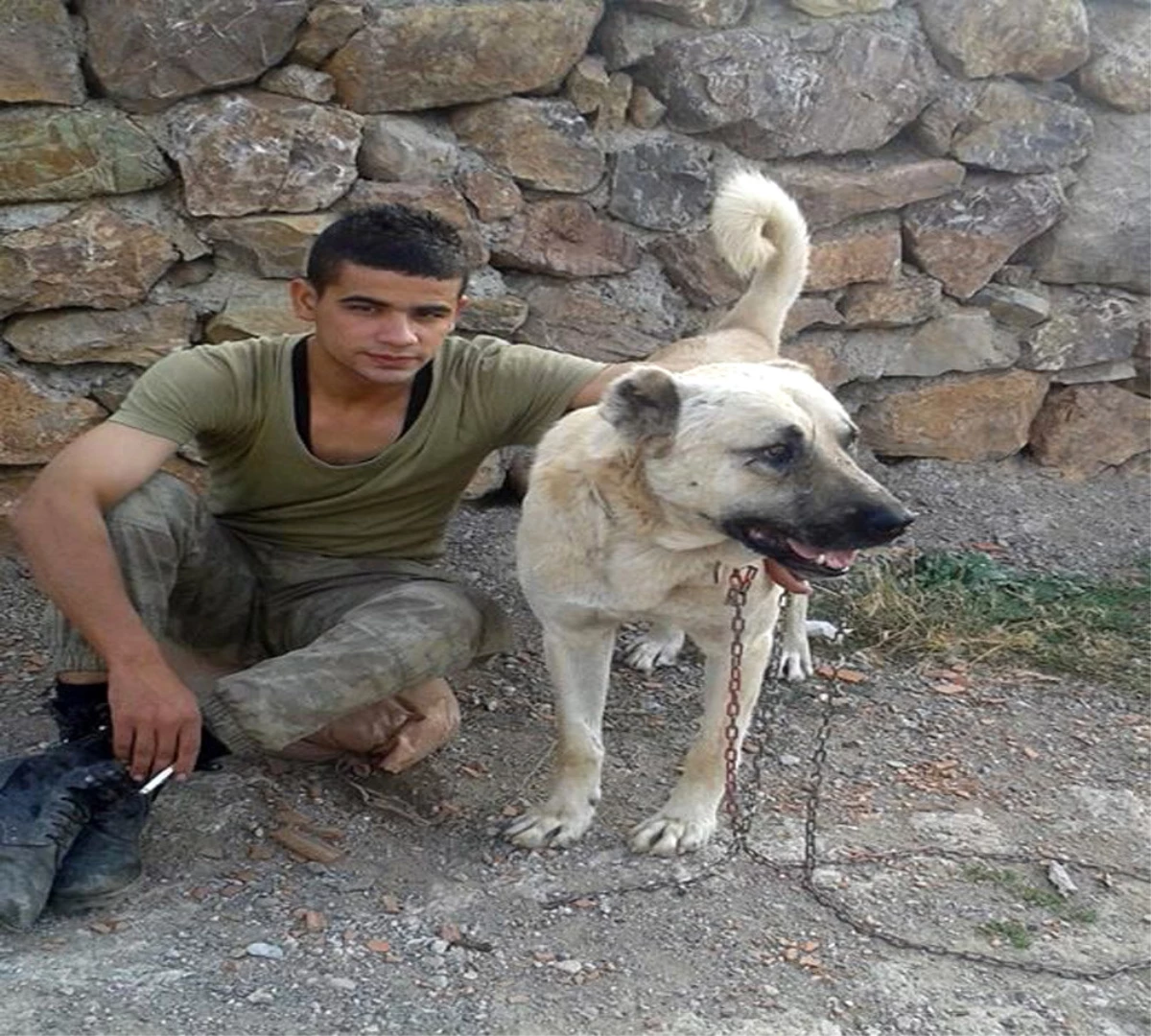 Hatay\'a Şehit Ateşi Düştü