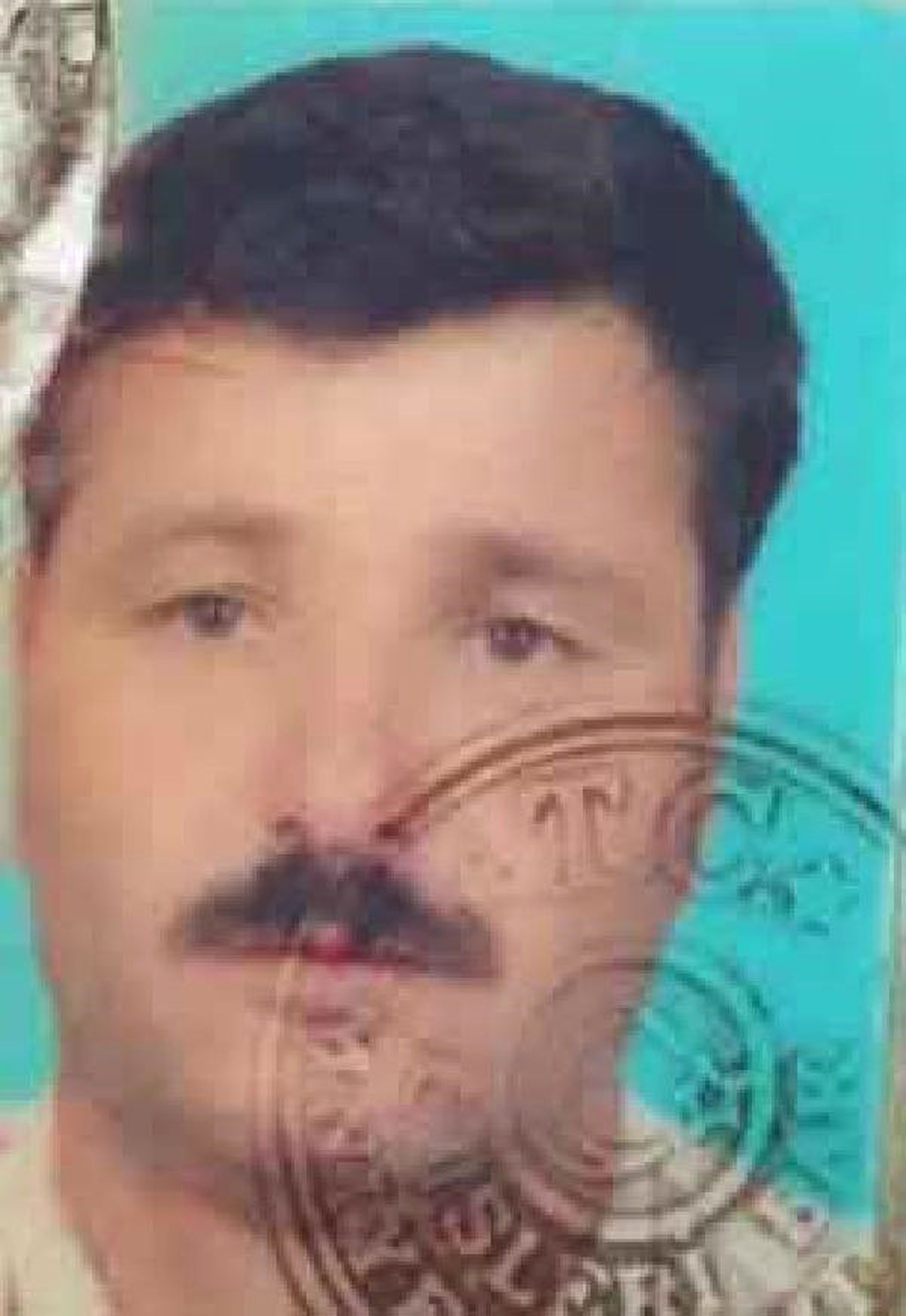 Ağaca Çarpan Kamyonun Şoförü Öldü
