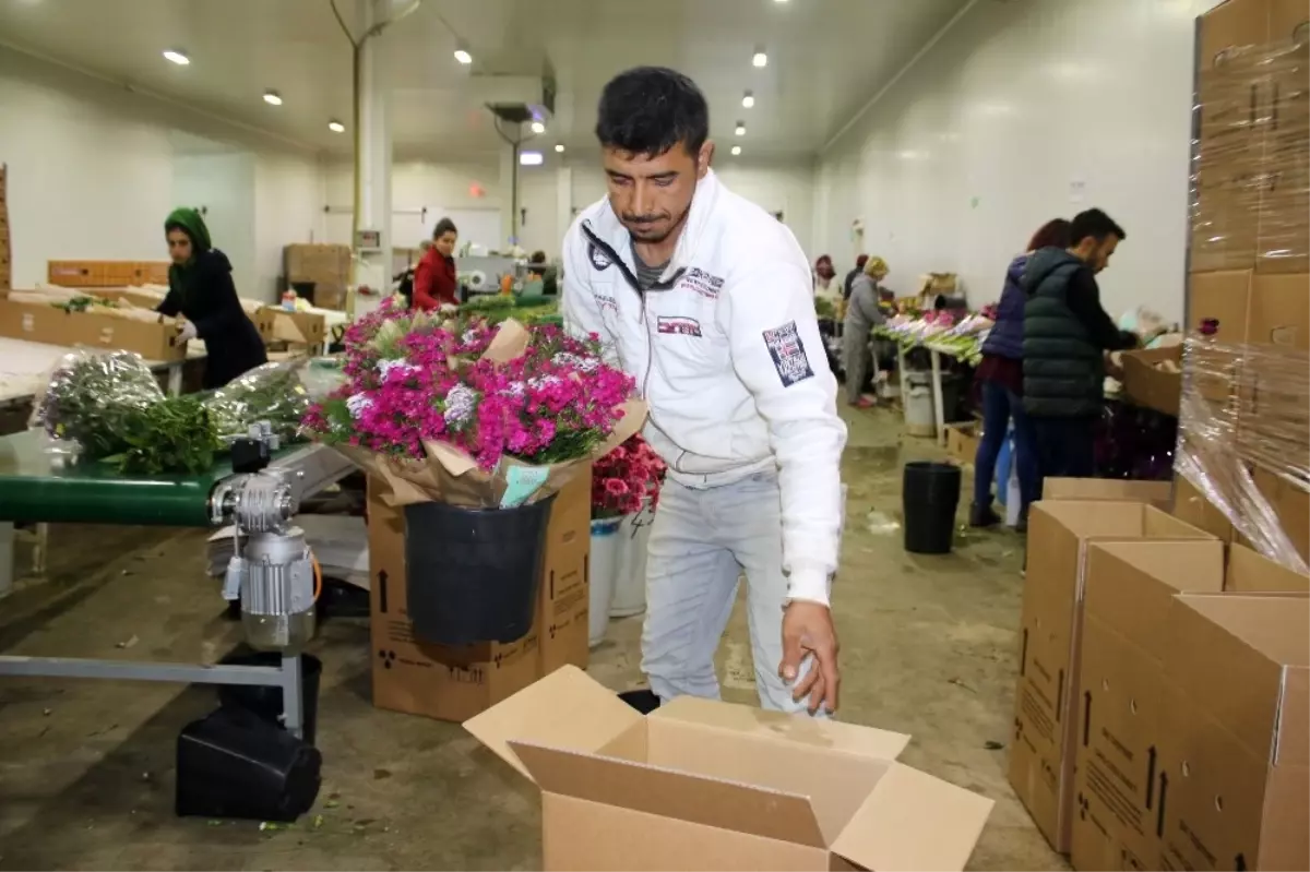 Çiçekçilerin Gözü Süpermarketlerde