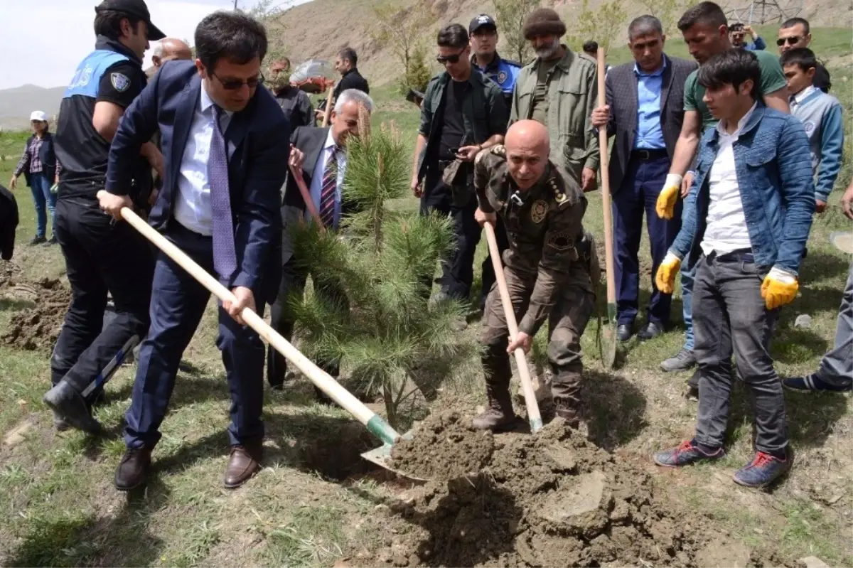 Hakkari Polisi Öğrencilerle Fidan Dikti