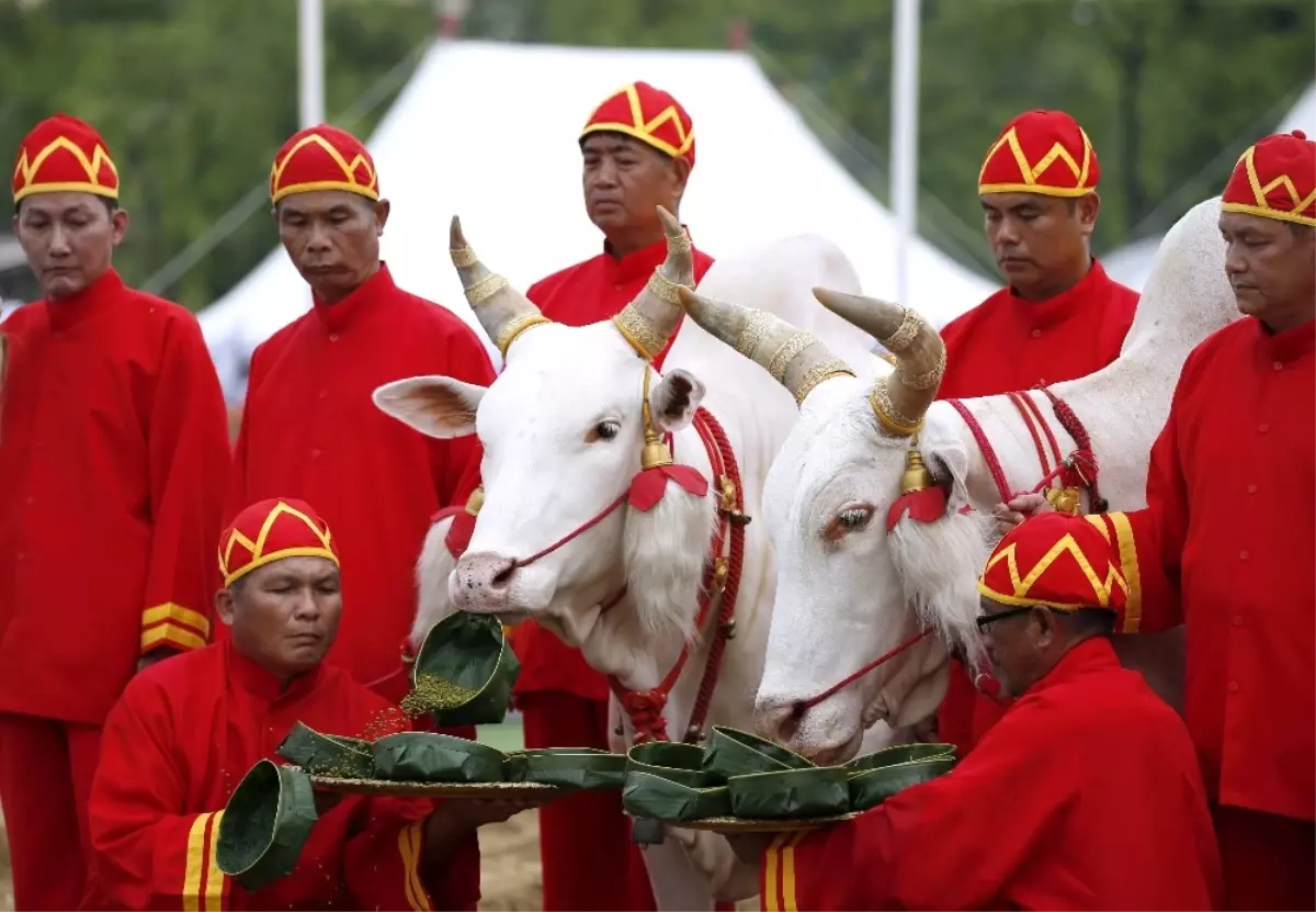 Tayland\'da Müslümanlar Çocuklarını Sünnet Ettirdi