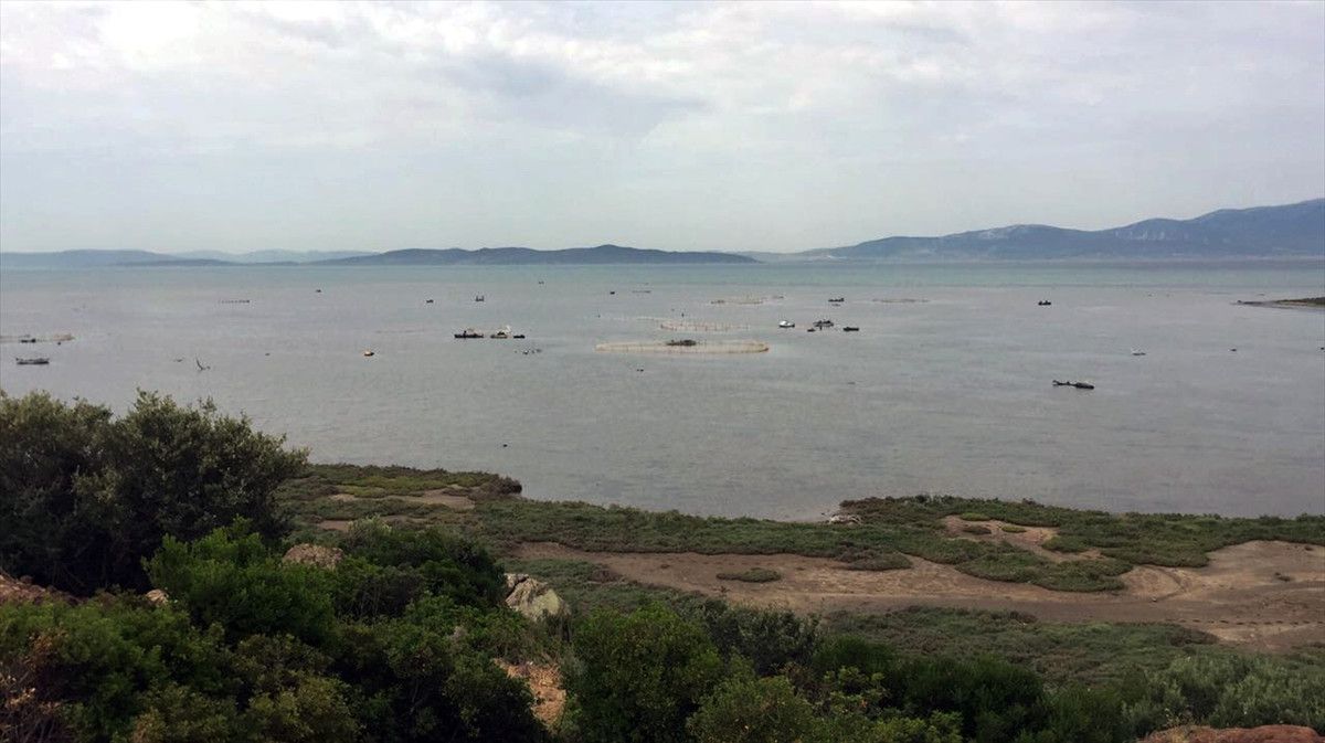Balık Yemi İçin Denize "Kaçak Çiftlik" Kurmuşlar