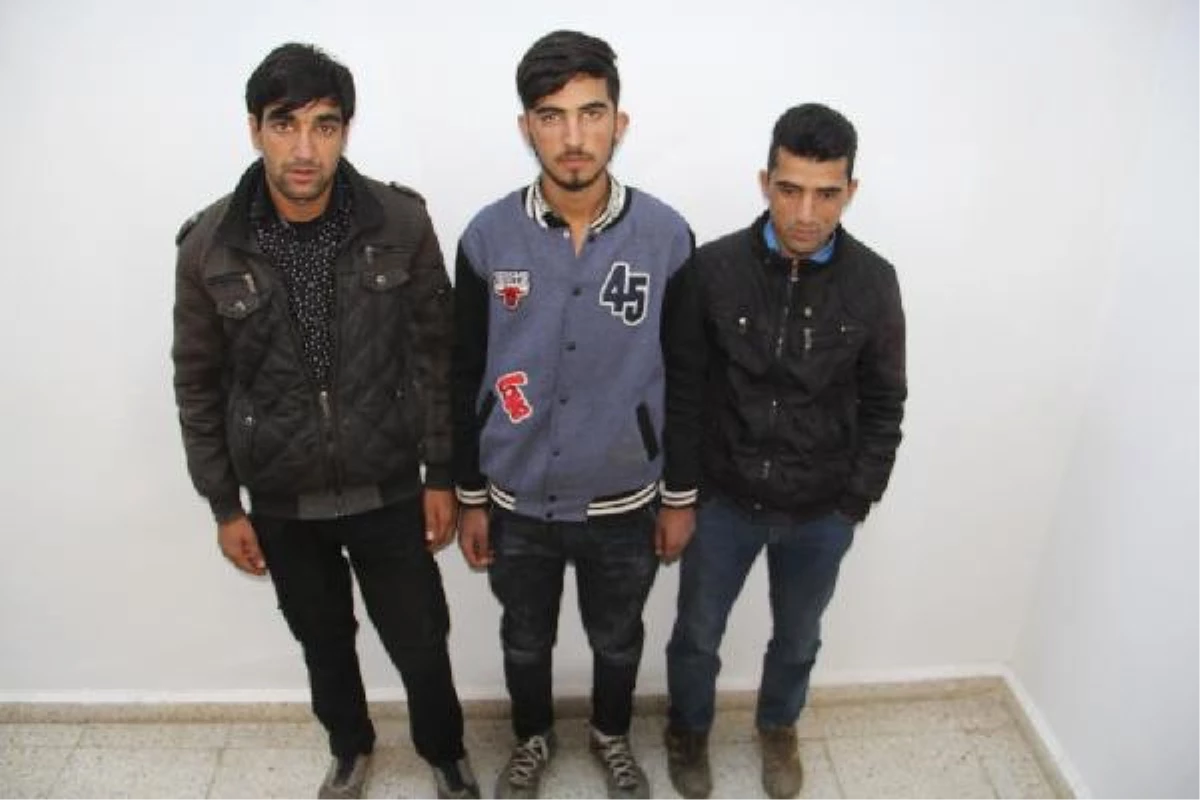 Başkale\'de 3 Afgan Kaçak Yakalandı
