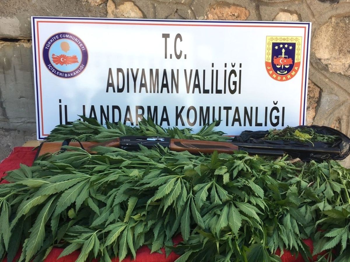 Jandarma Uyuşturucu ile Mücadeleyi Sürdürüyor