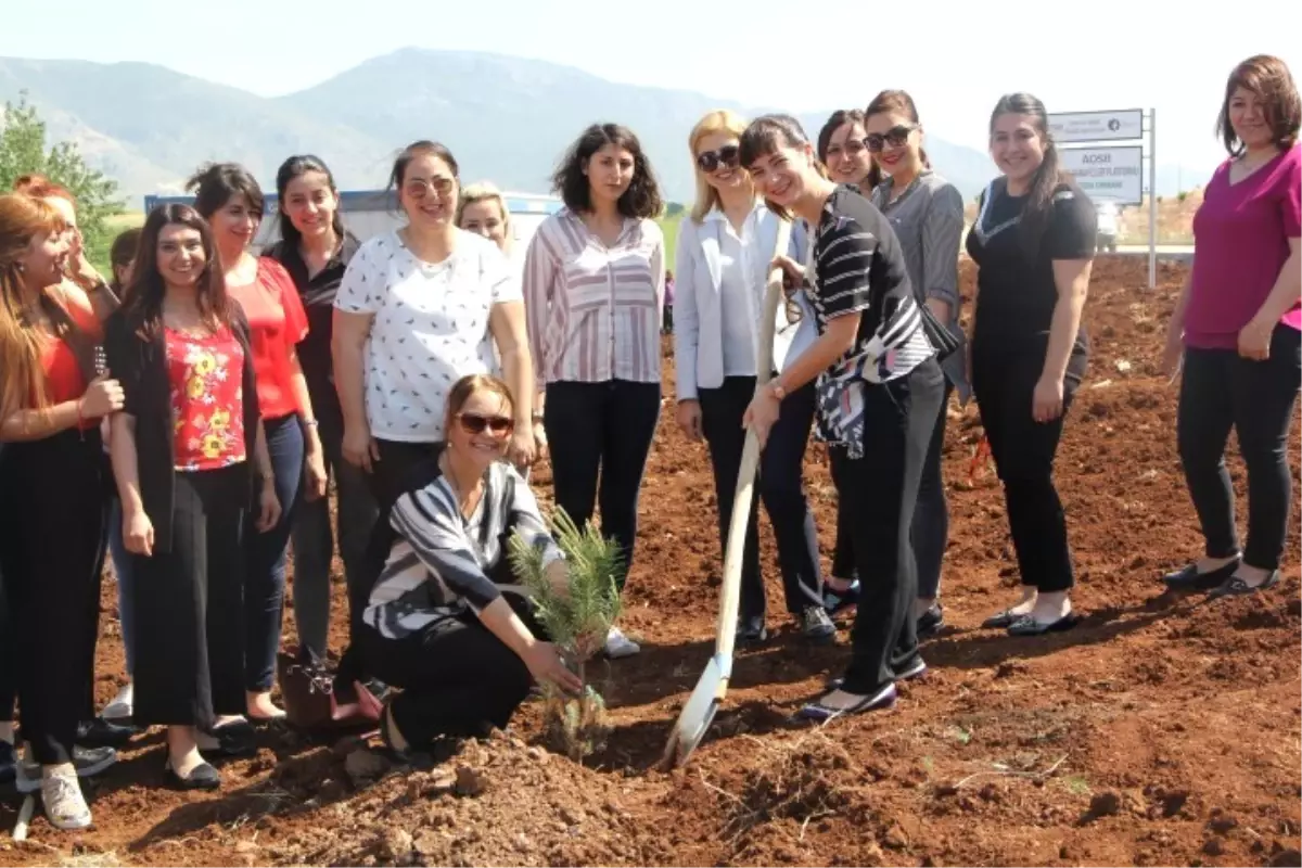 Kadın Sanayiciler Fidan Dikti