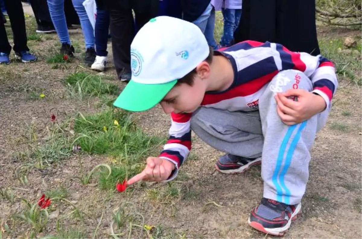 Merak Ettikleri Laleye Korkarak Dokundular