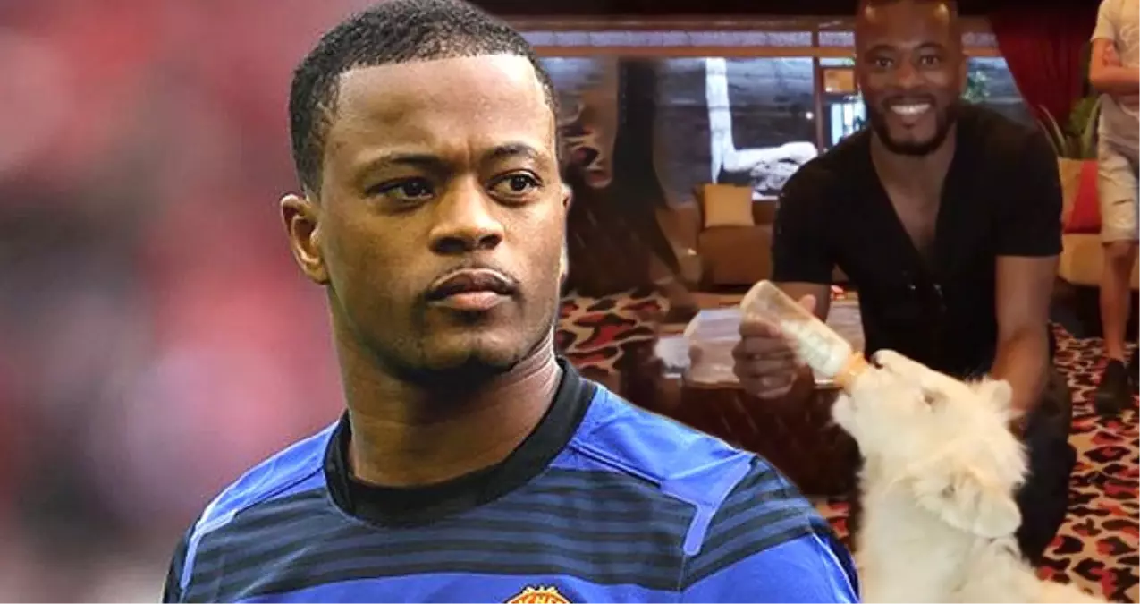 Ünlü Futbolcu Patrice Evra, Evinde Aslan Besledi