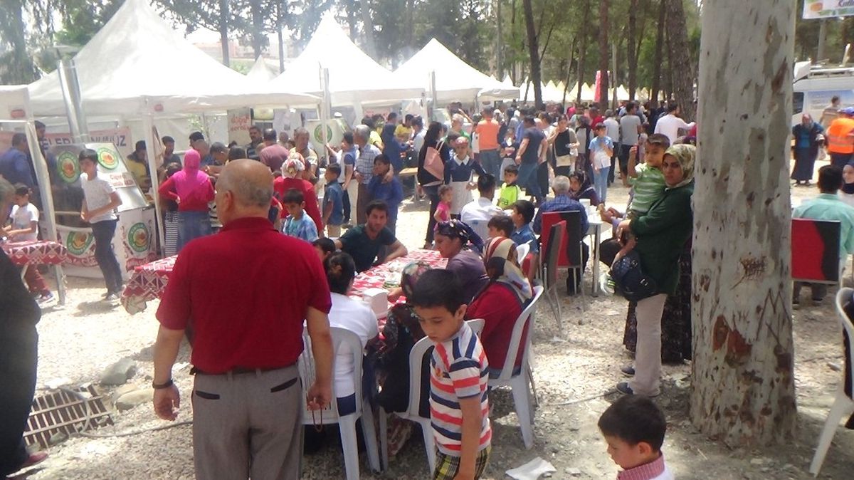 Kırıkhan\'da Ciğer Festivali