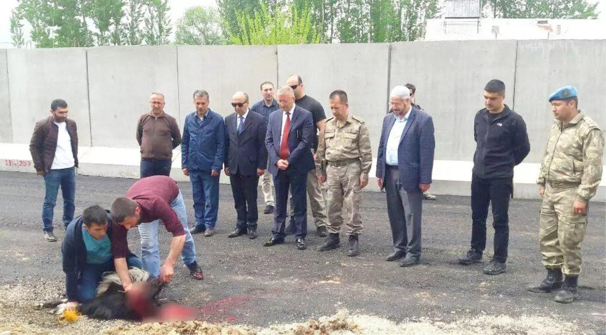 Yeni Güvenlik Noktası İçin Kurban Kesildi