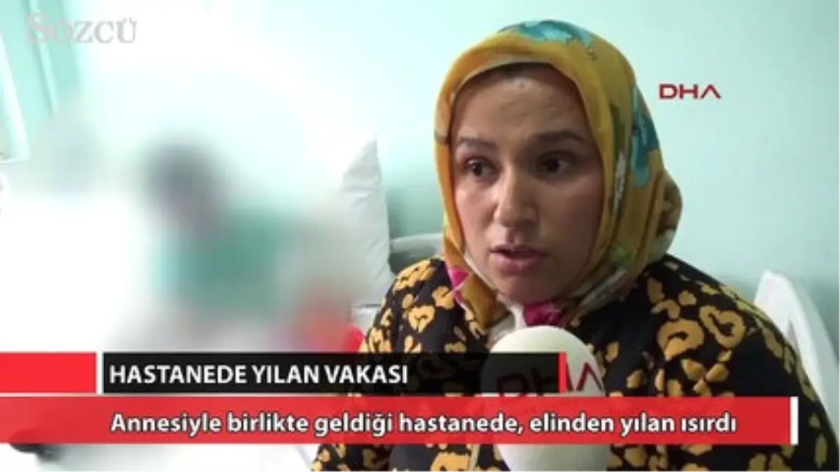 3 Yaşındaki Çocuğu Hastanede Yılan Isırdı