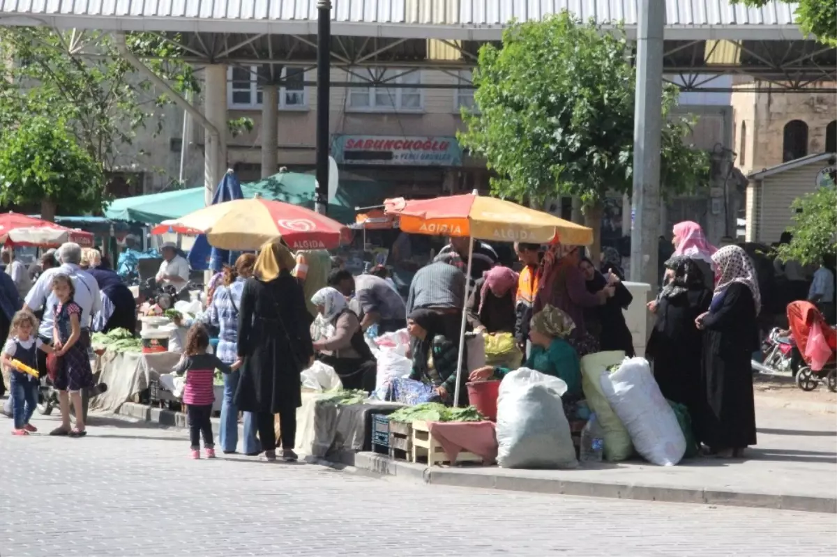 Asma Yaprağına Yoğun İlgi