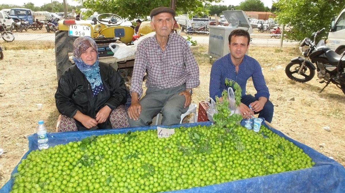 Burhaniye\'de Yerli Ürünler Pazarda Yerini Aldı