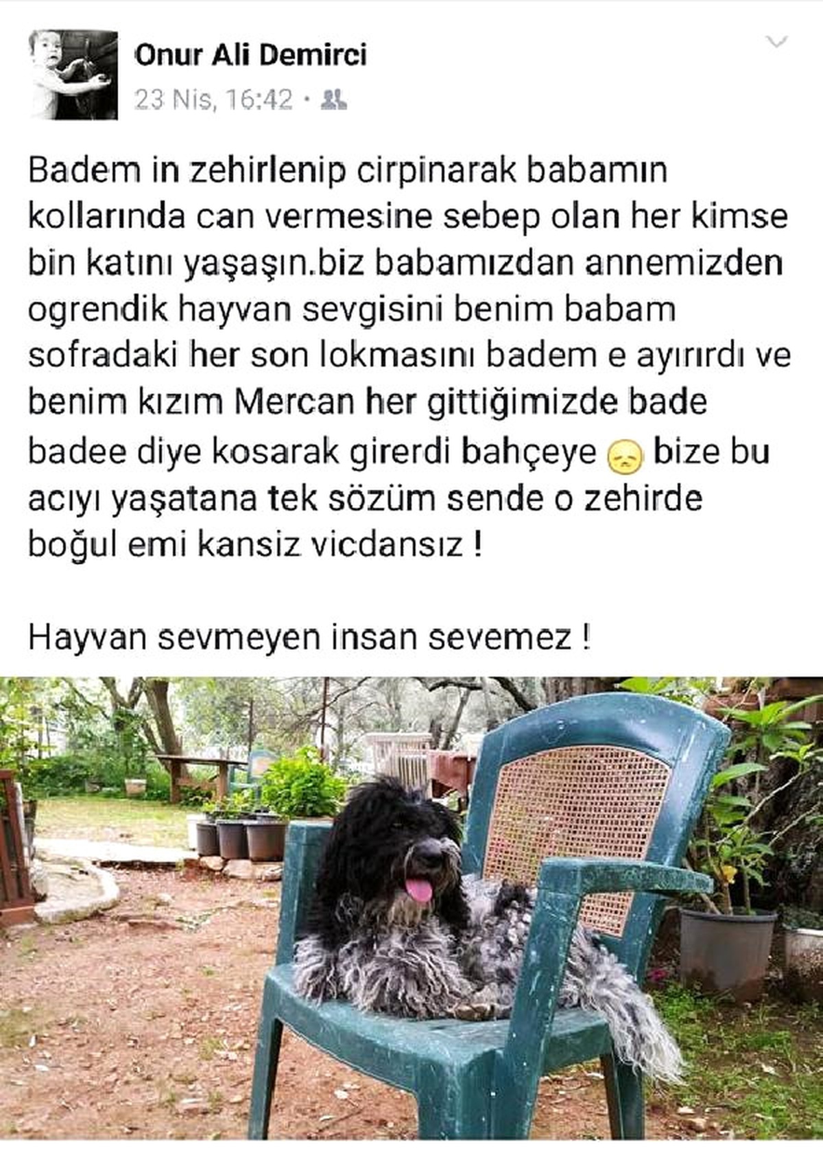 Can Dostları\'nı Zehirleyenlere İsyan Ettiler