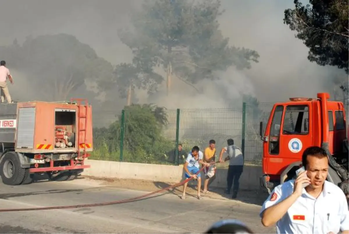 Sazlık Alanda Çıkan Yangın Golf Sahasına Sıçradı