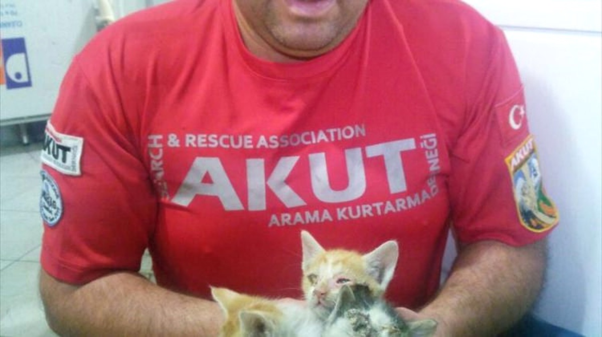 Yavru Kediler 2 Saatlik Operasyonla Kurtarıldı