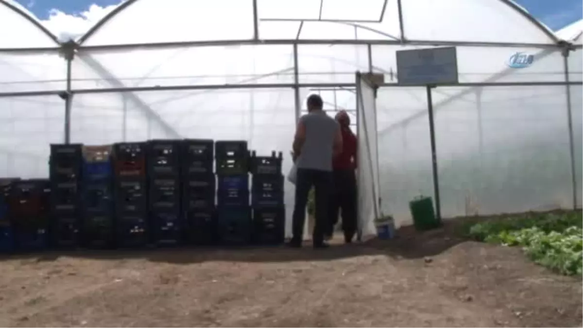 3 Çocuk Annesi "Bu İşi Yapacağım" Dedi, Kendi İşinin Patronu Oldu