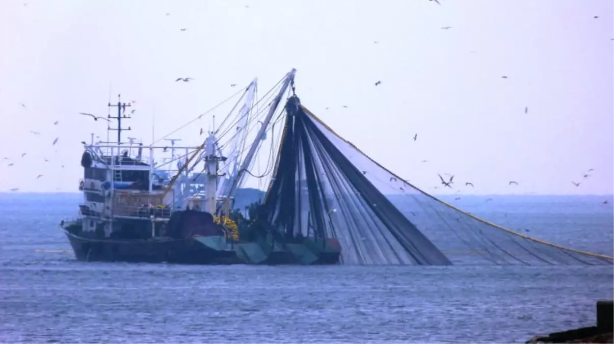 Abana Su Ürünleri Kooperatifi Başkanı Sarı Açıklaması