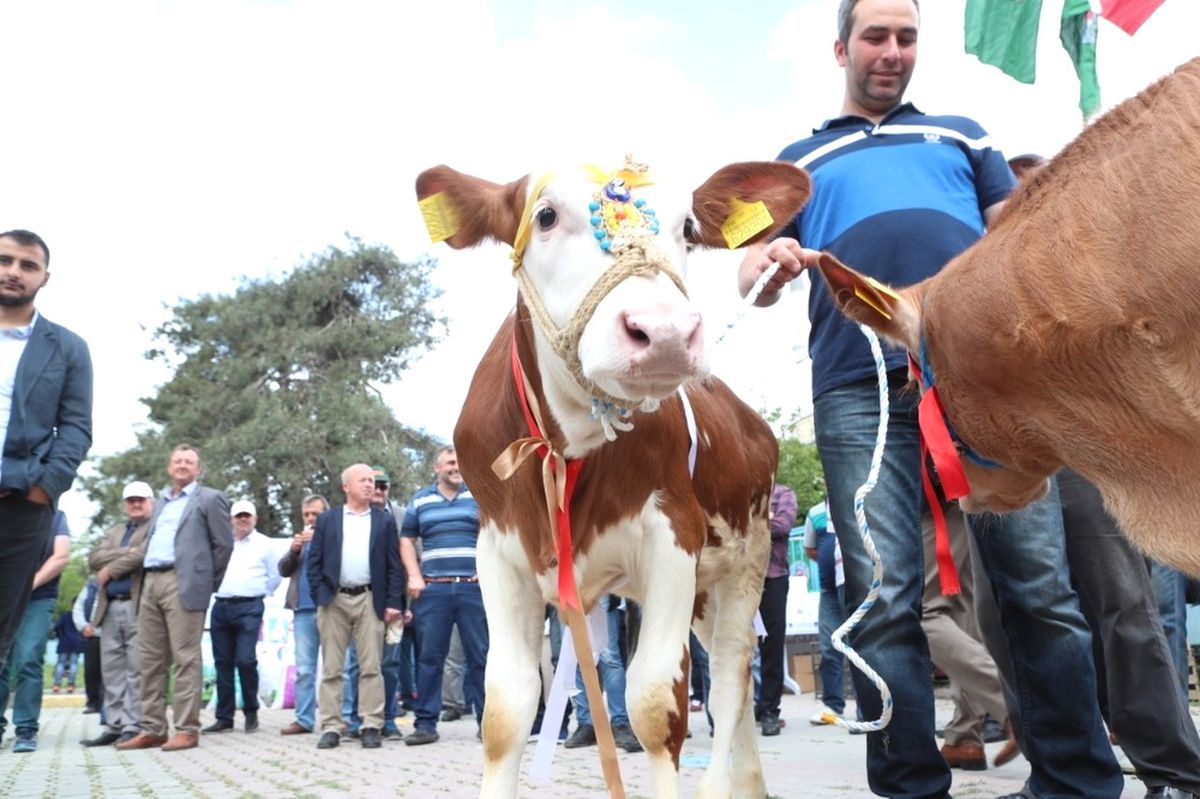 Arnavutköy\'de "Çiftçiler Bayramı" Kutlandı