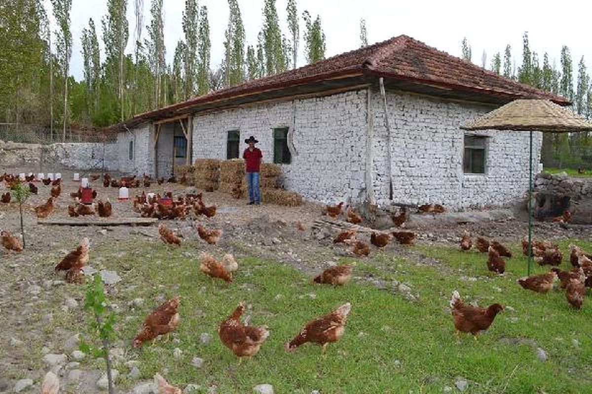 Ata Yadigarı Değirmenini Kendisi Restore Etti