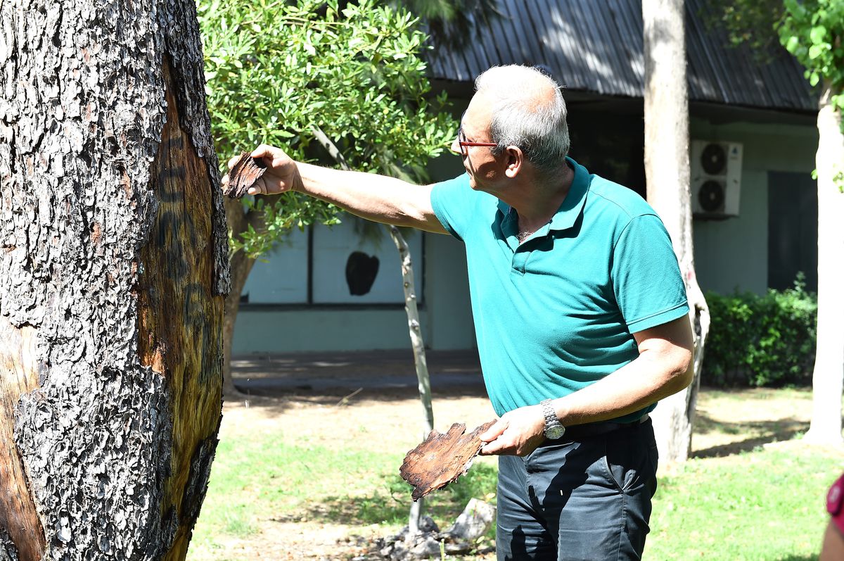 Daha sağlıklı bir Kültürpark için