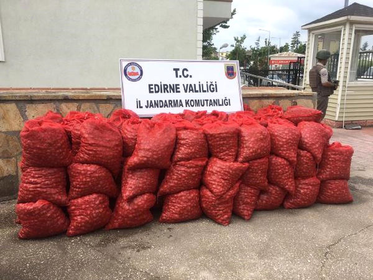 Edirne\'de 1.6 Ton Kaçak Midye Ele Geçirildi