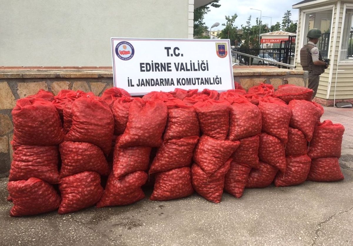 Edirne\'de 70 Bin TL\'lik Kaçak Midye Ele Geçirildi