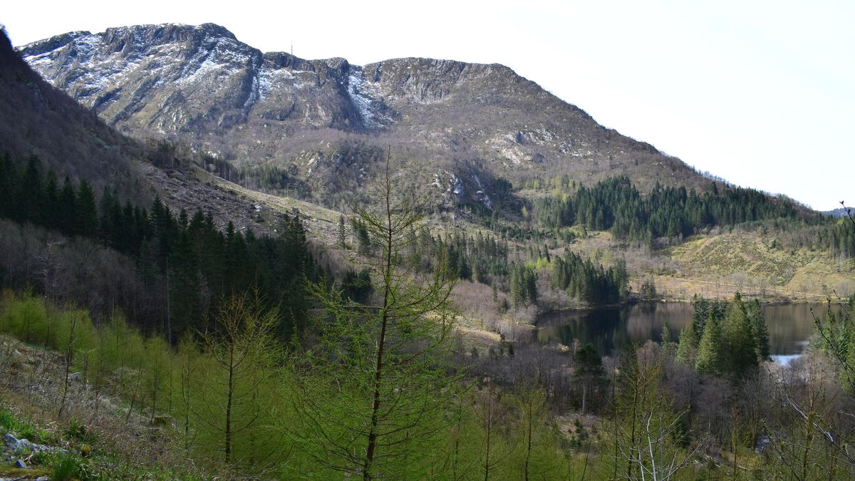 Isdal Kadını: Norveç\'in 46 Yıldır Unutamadığı Gizemli Ölüm