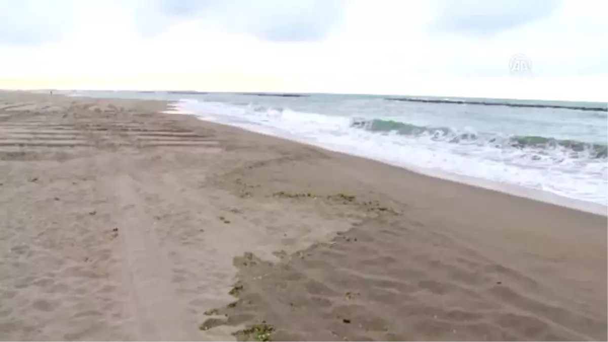 Karadeniz\'de Batan Rus Gemisi - Mühimmat Sandığı Kıyıya Vurdu - Sakarya