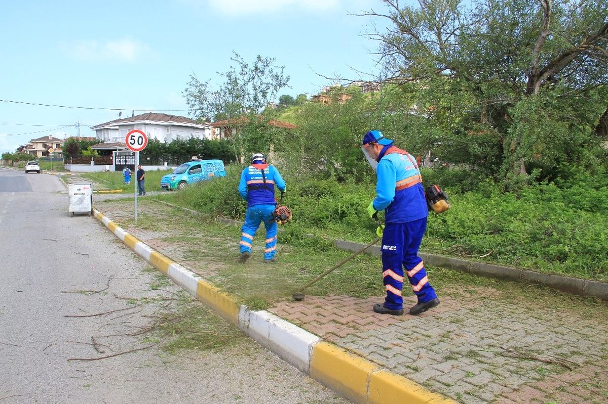 Şile\'de Temizlik Hareketi