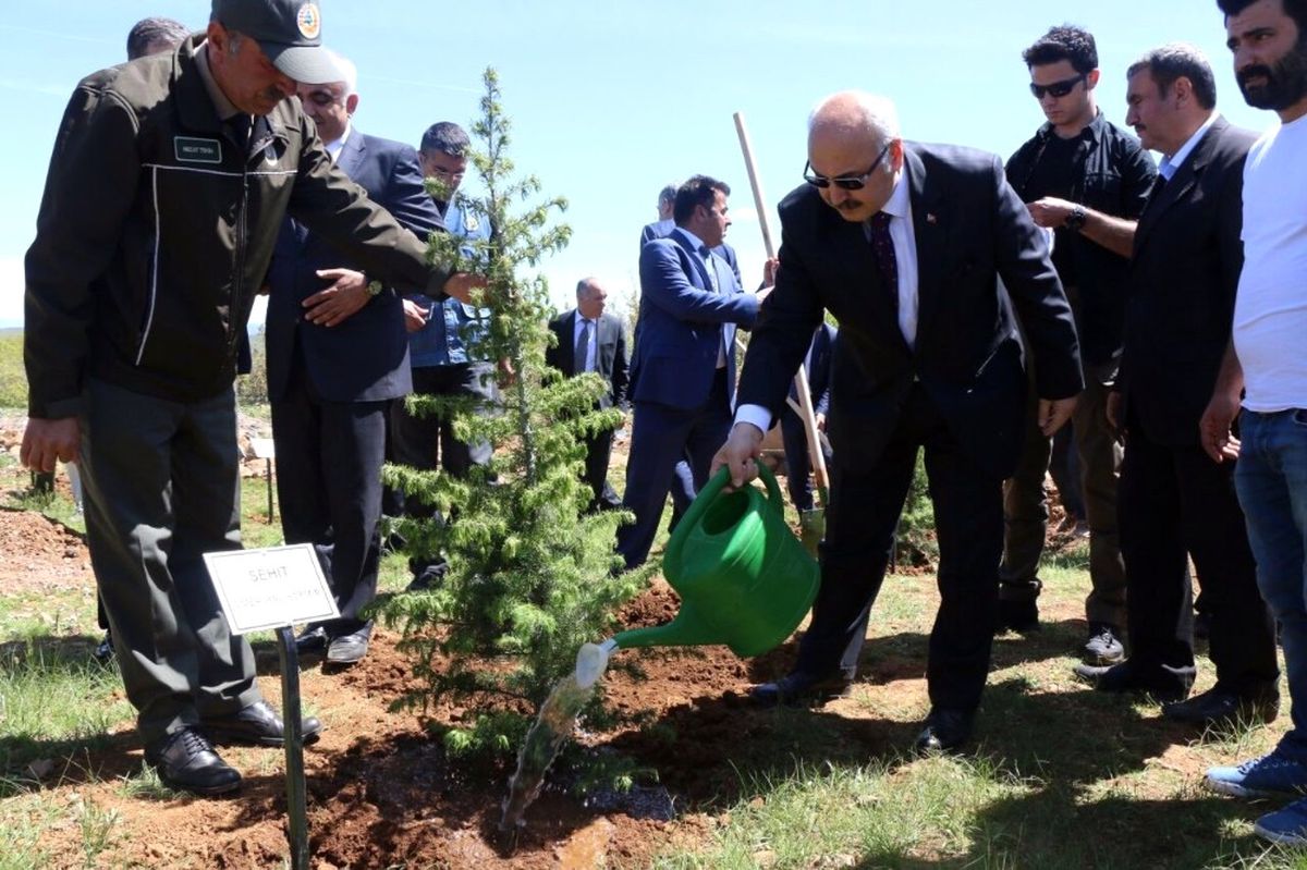 Bingöl\'de \'15 Temmuz Demokrasi Şehitleri Hatıra Ormanı\' Oluşturuldu