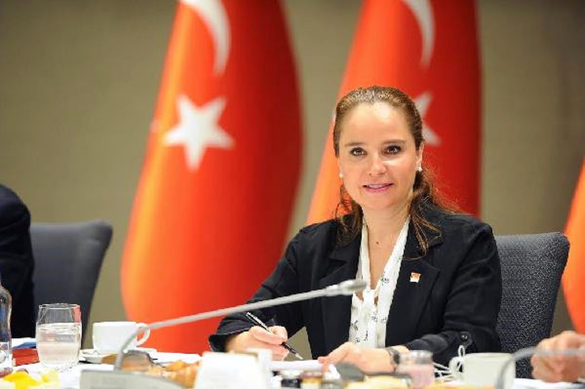 CHP Genel Başkan Yardımcısı Cankurtaran: Provakasyon Bahanesiyle Milli Bayramlara Gölge Düşürülüyor
