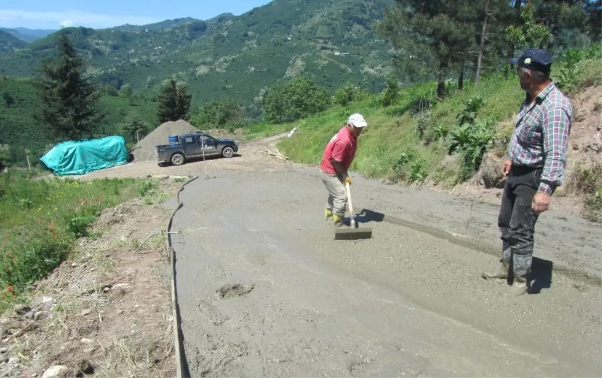 Fatsa\'da Beton Yol Çalışması