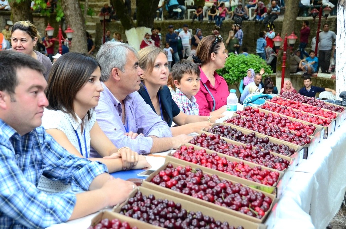 Kemalpaşa\'da 46. Altın Kiraz Festivali