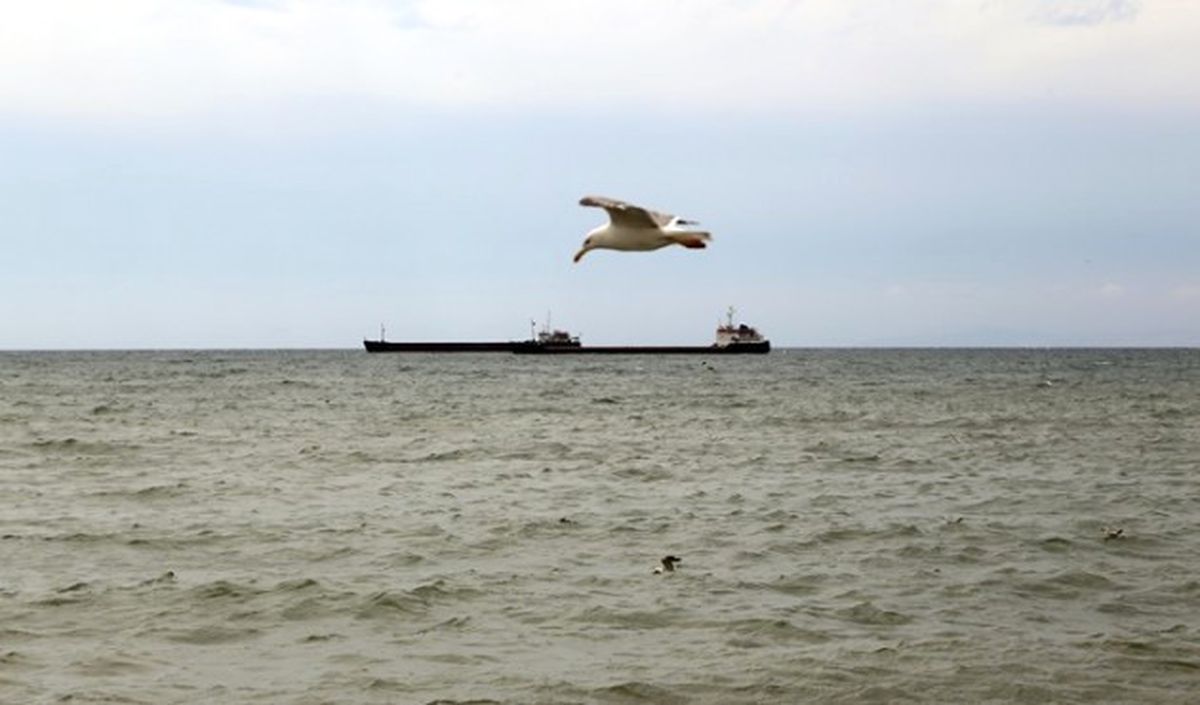 Marmara Denizi\'nde Ulaşıma Poyraz Engeli