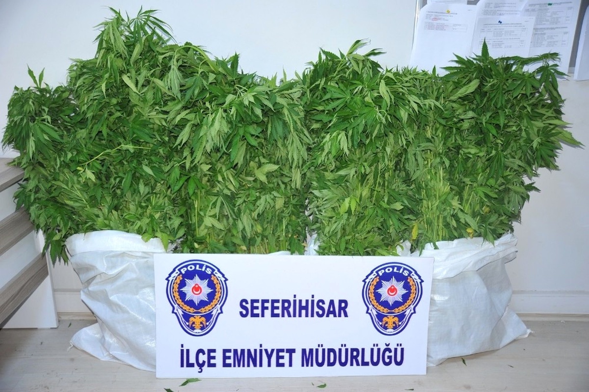 Seferihisar Emniyetinden Zehir Tacirlerine Operasyon: 3 Gözaltı