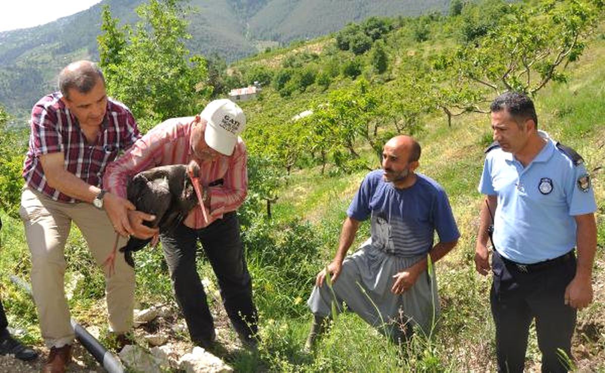 Yaralı Leyleğe Belediye Sahip Çıktı