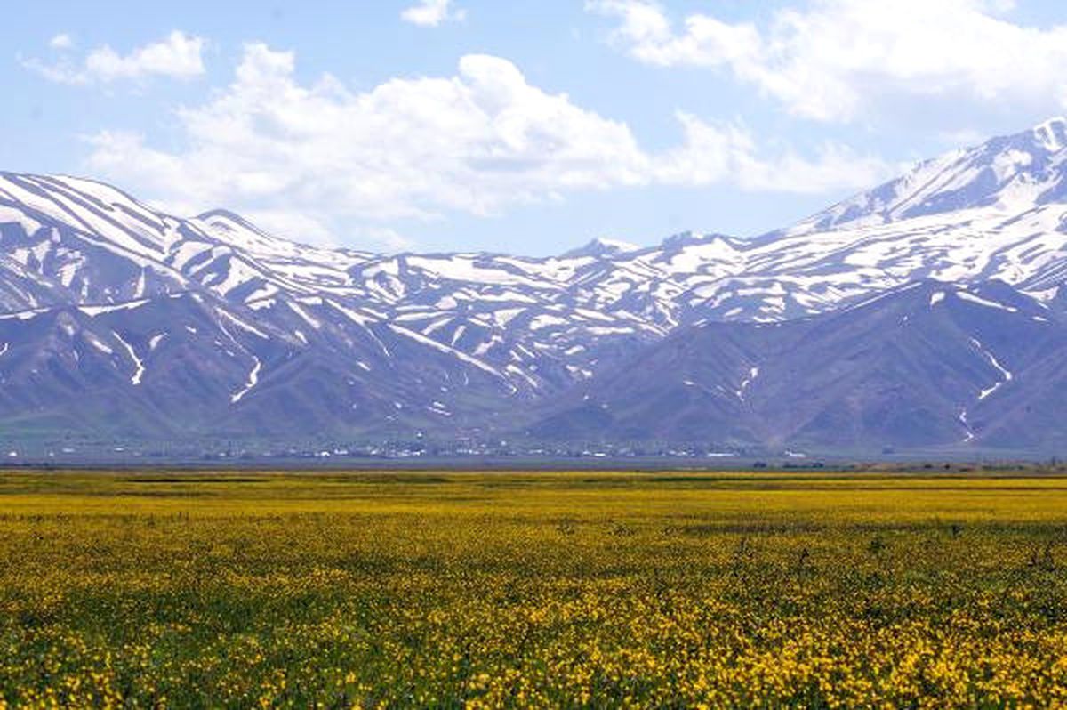 Yüksekova\'da Bahar Manzarası