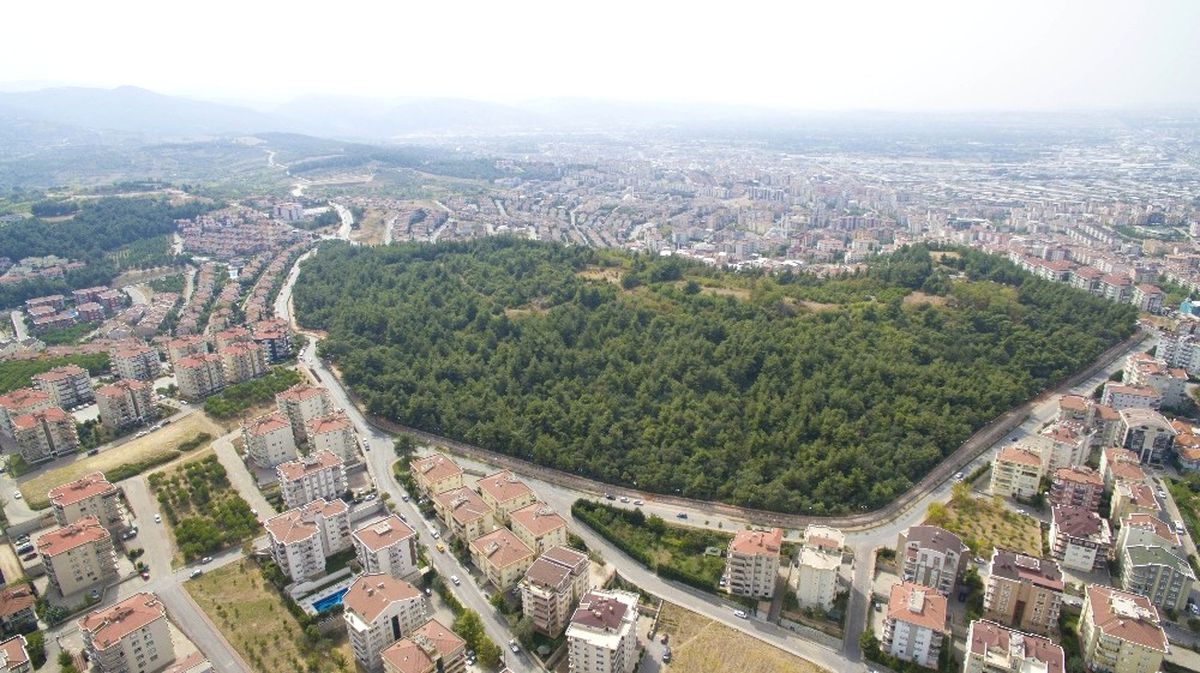 Altepe: "Cephanelik\'te İmar Söz Konusu Değil"