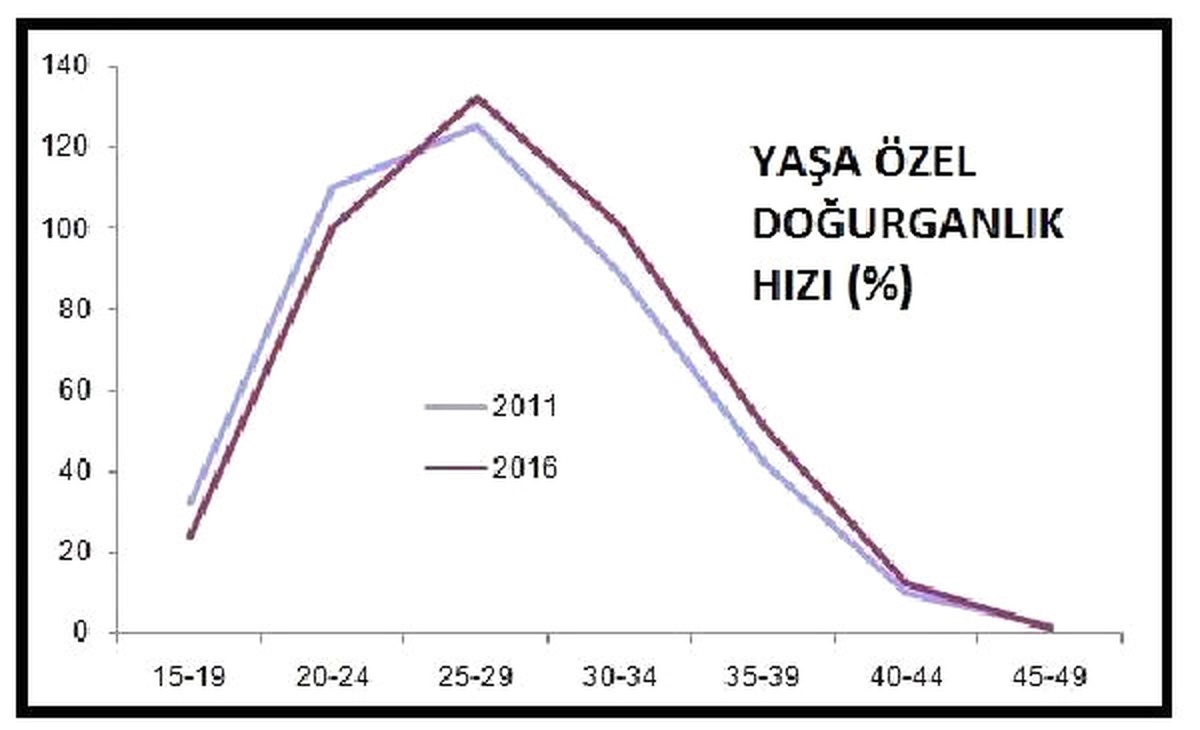 Canlı Doğan Bebek Sayısı 2016 Yılında Yüzde 0.02 Azaldı