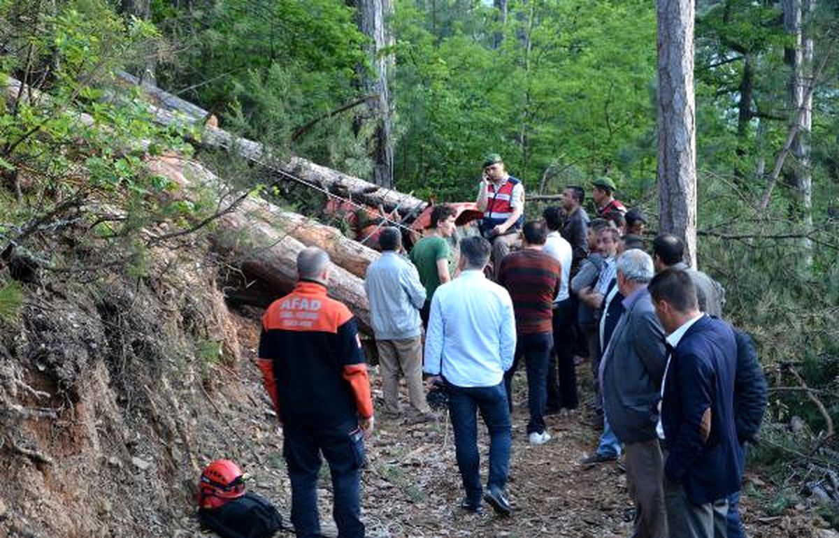 Devrilen Ağacın Altında Kalan Orman İşçisi Öldü