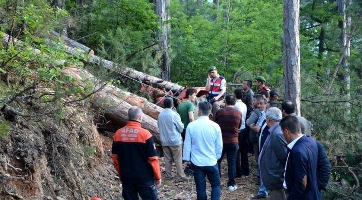 Devrilen Ağacın Altında Kalan Orman İşçisi Öldü