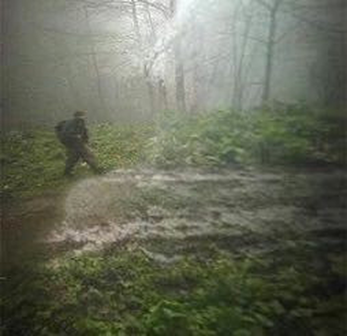 Doğu Karadeniz\'de Terörle Mücadelede Fotokapanlar Aktif Rol Oynayacak