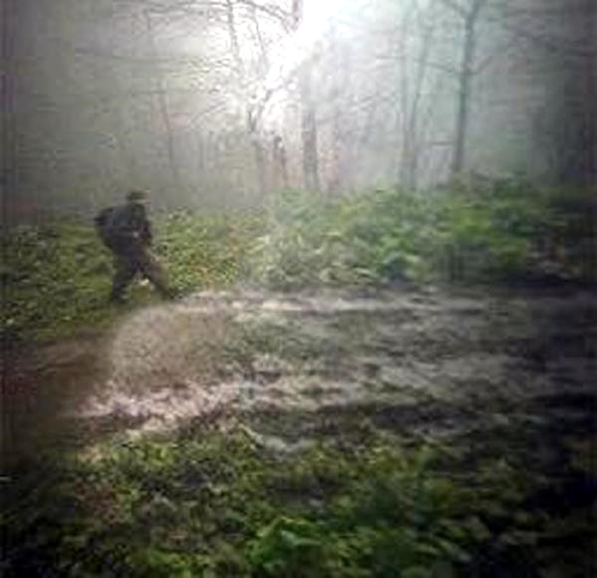 İşte, Uzman Çavuşu Şehit Eden PKK\'lı Teröristlerin Fotokapan Görüntüsü
