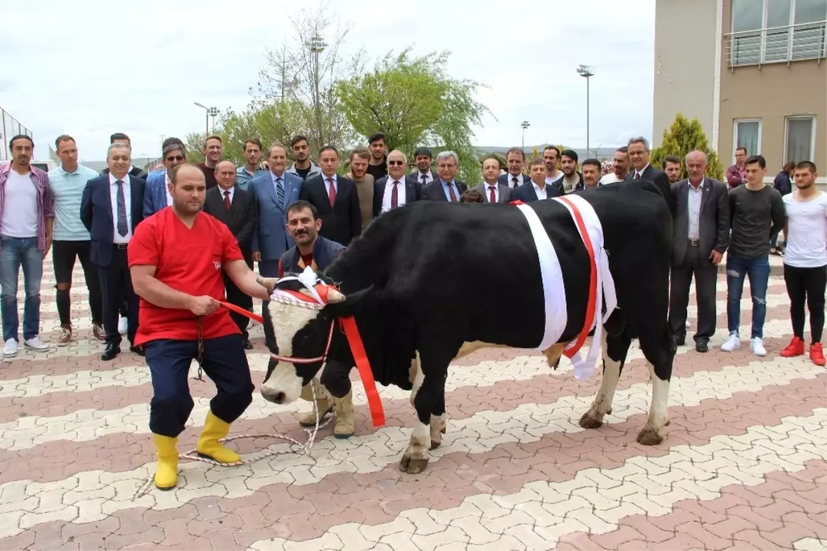 Stk\'lardan Sivasspor\'a Destek